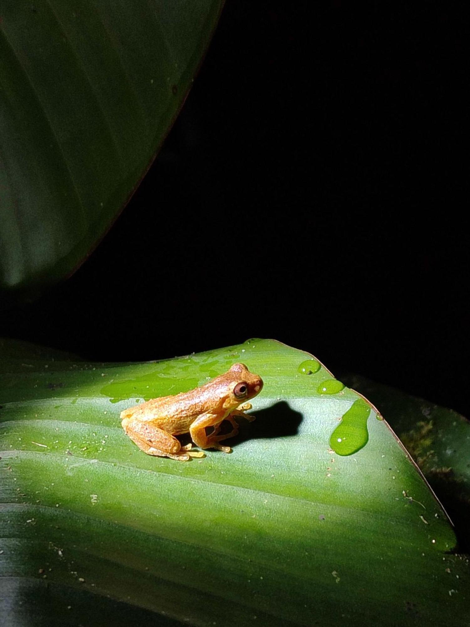 Mindo Garden Lodge And Wildlife Reserve 외부 사진