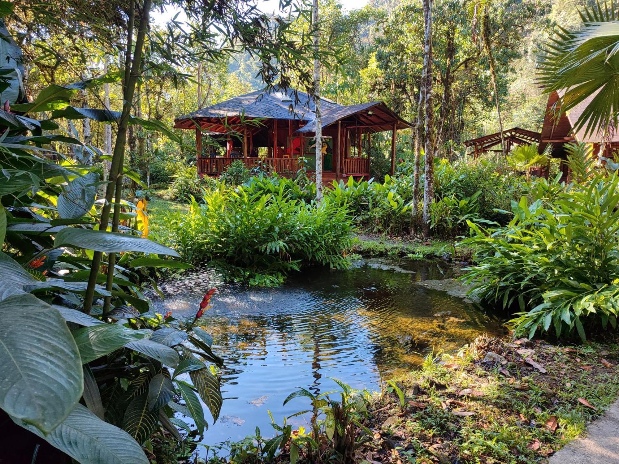 Mindo Garden Lodge And Wildlife Reserve 외부 사진