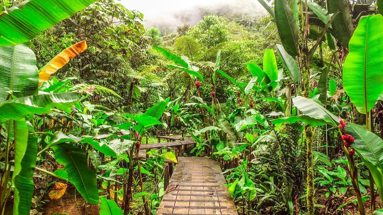 Mindo Garden Lodge And Wildlife Reserve 외부 사진